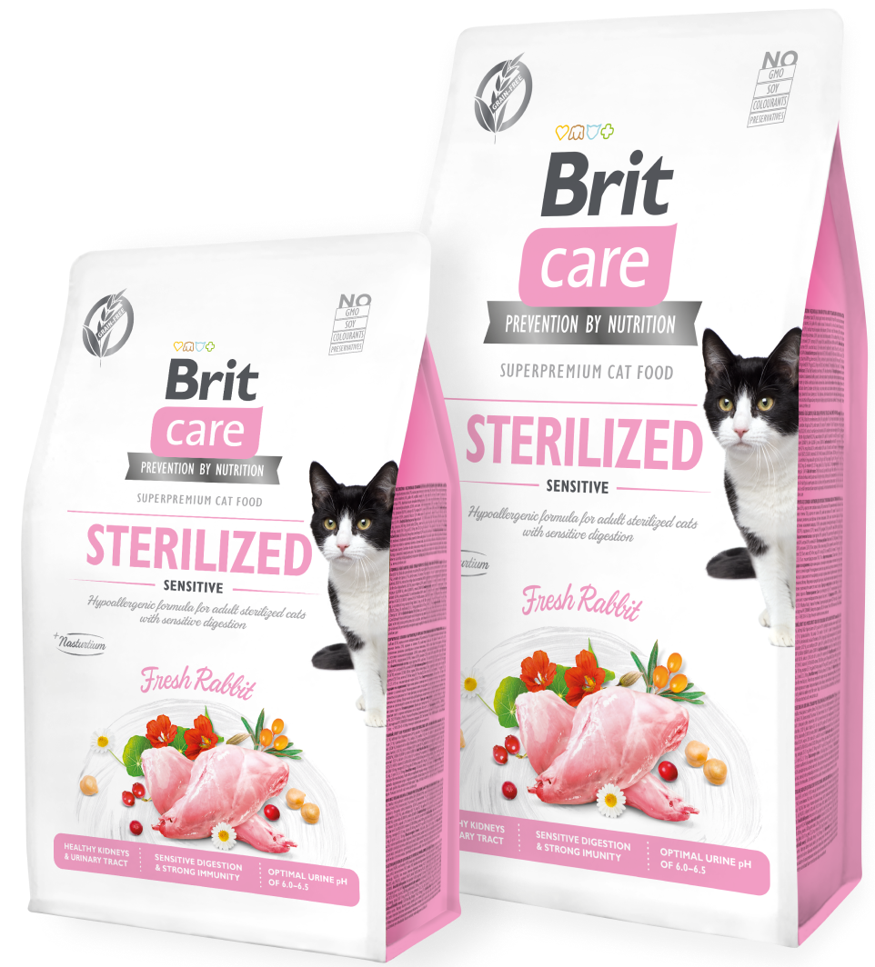 brit